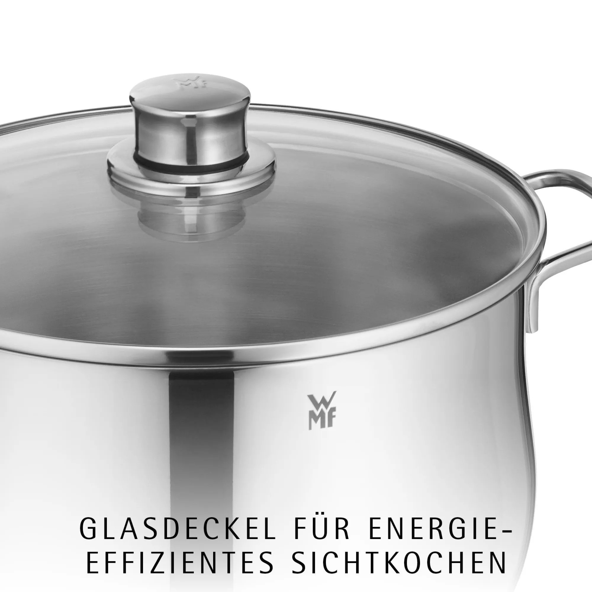 WMF Diadem Plus Kochtopf mit Deckel, 24 cm| Induktionstöpfe|Kochtöpfe