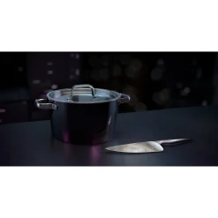 WMF Fusiontec Aromatic Kochtopf, 24 cm, Black| Kochtöpfe|Induktionstöpfe