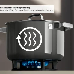 WMF Fusiontec Mineral Pro, Bratentopf mit Decke, 24 cm, Platinum| Induktionstöpfe